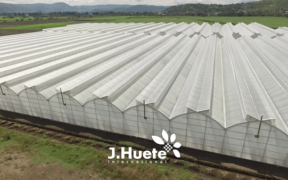 J. Huete Greenhouses Senegal