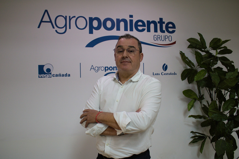 campaña hortofrutícola en Almería