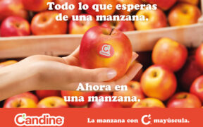 Manzana Candine®