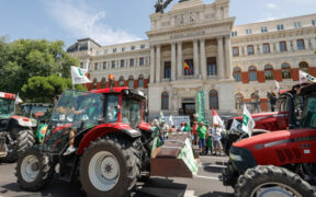 Manifestaciones del sector agrario español