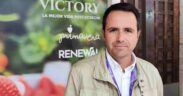 Jorge Muñoz, responsable comercial de EL PINAR