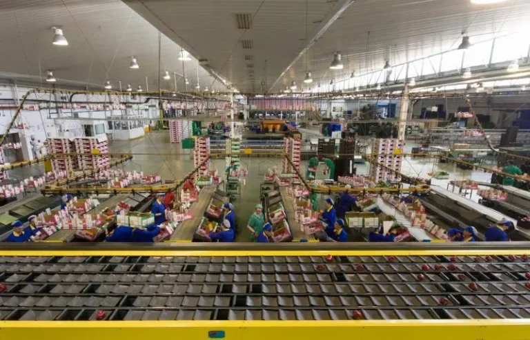 exportación de frutas y hortalizas hasta mayo