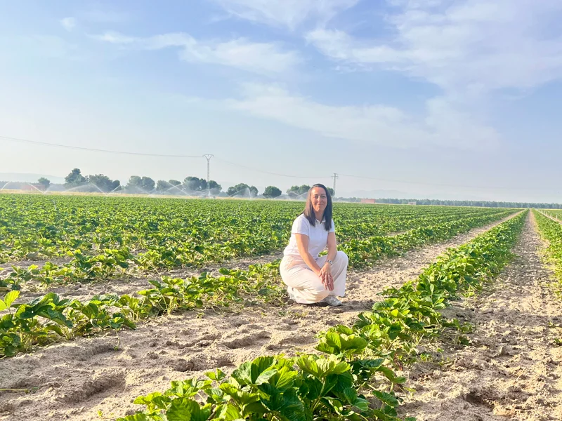 fresa plantas Viveros Río Eresma