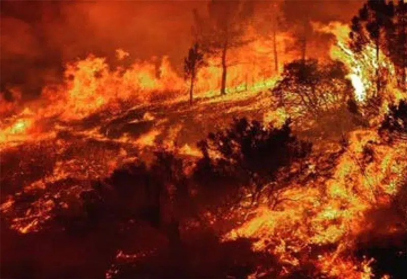 fuego incendios características