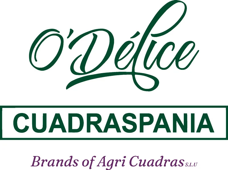 Logo Cuadraspania