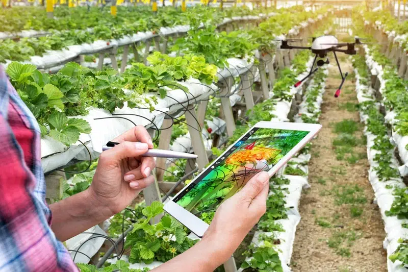 Andalucía Agrotech