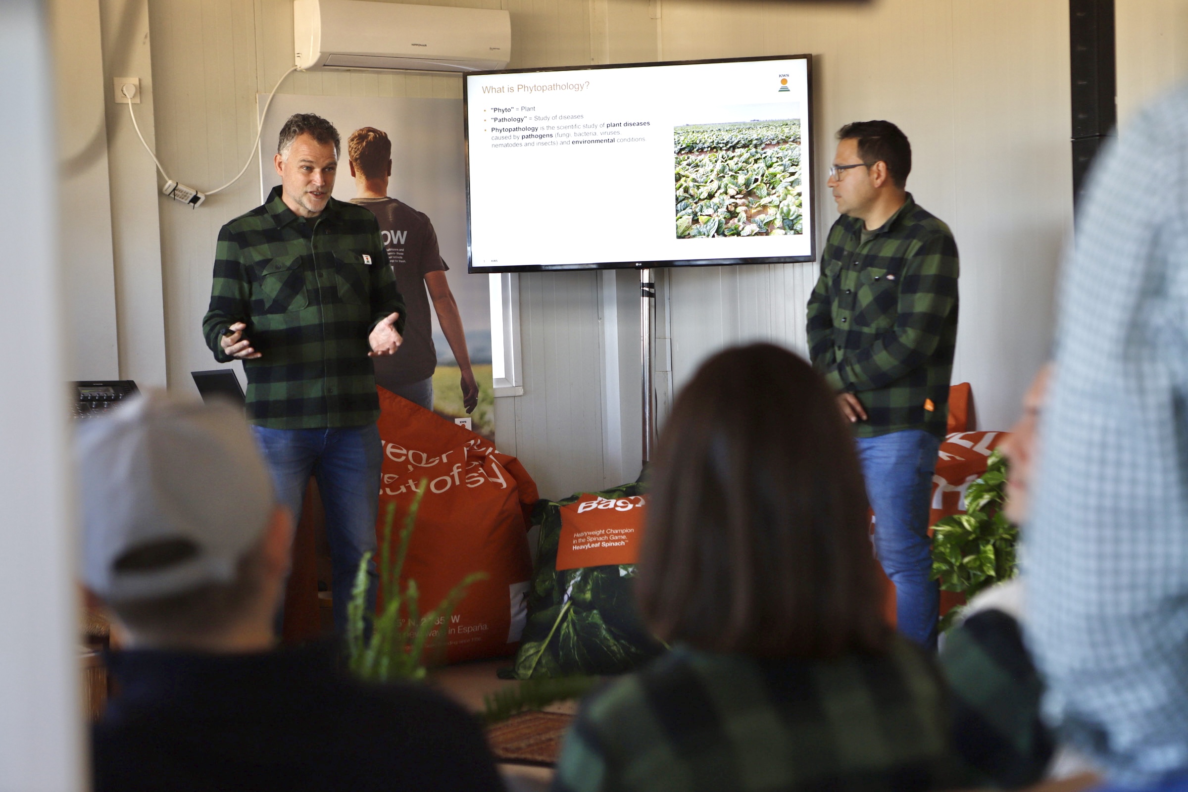 KWS Leafy PopUp 2026