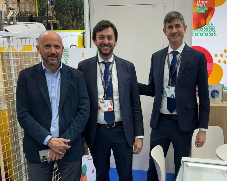 Plus Berries Fruit Logística