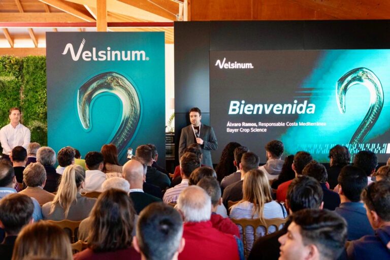 Presentación de Velsinum
