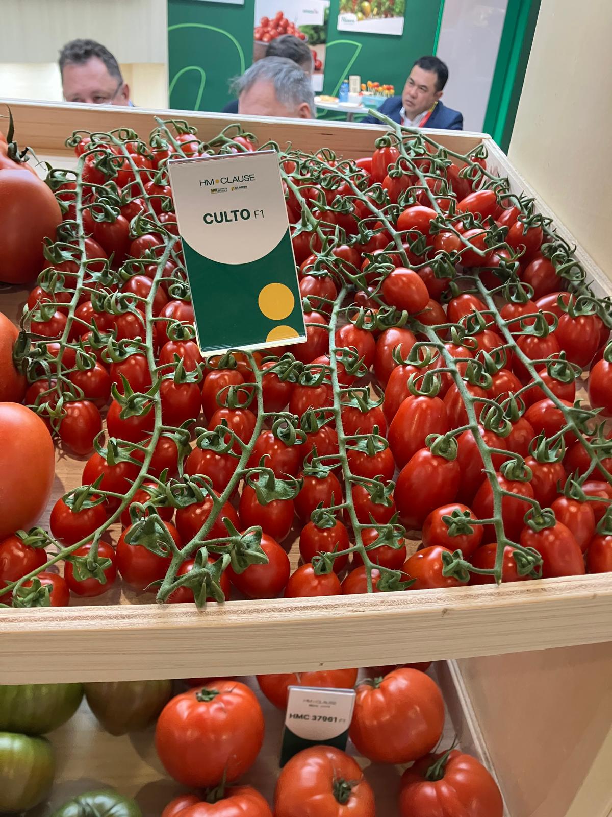 Tomate Culto HM Clause