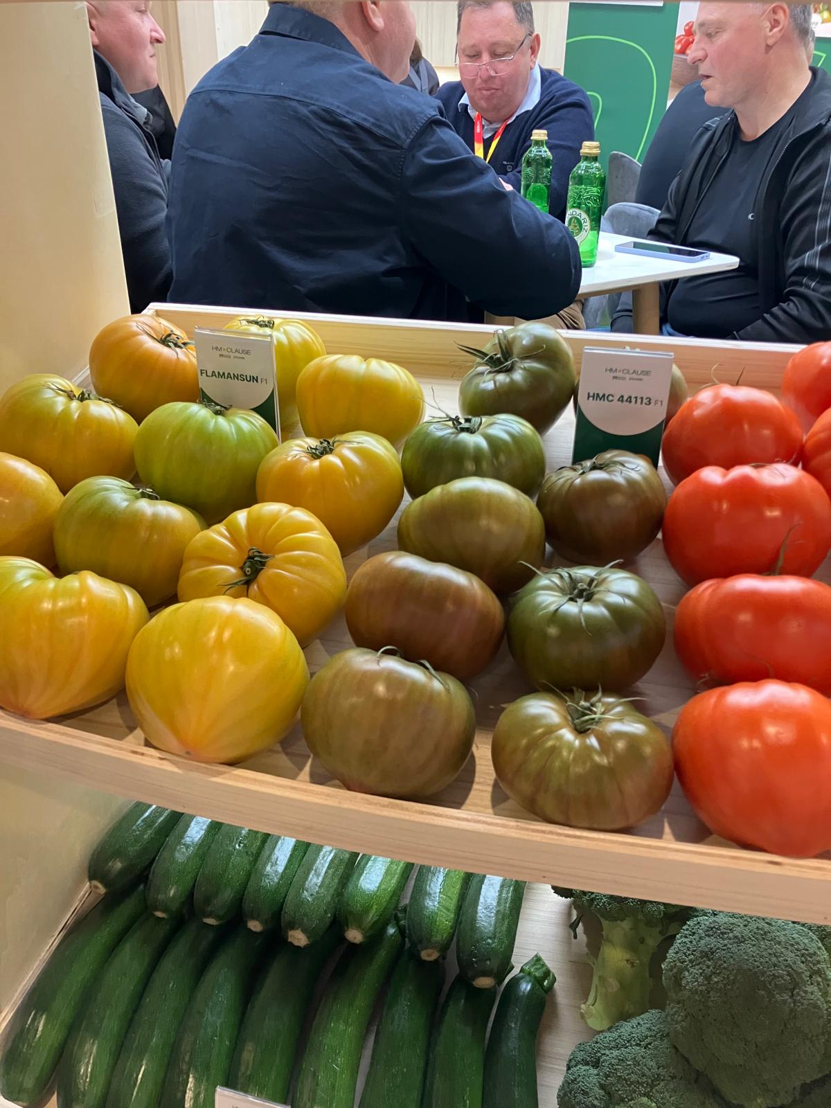 Tomate oxheart HM Clause