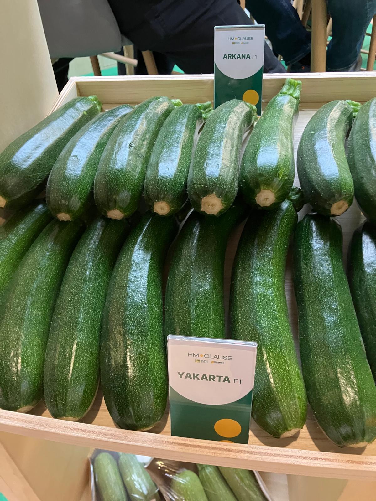 Calabacín HM Clause