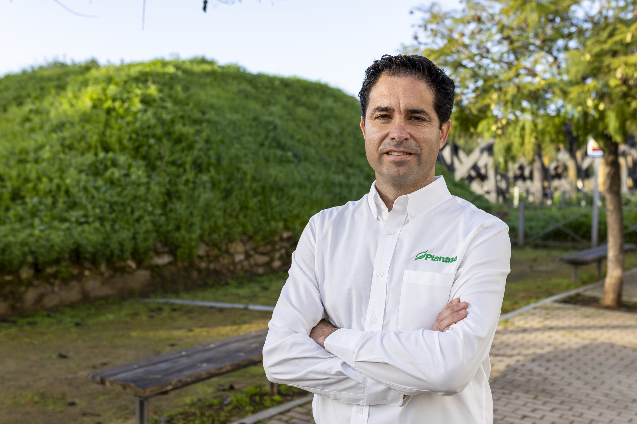 Pedro Domínguez Planasa