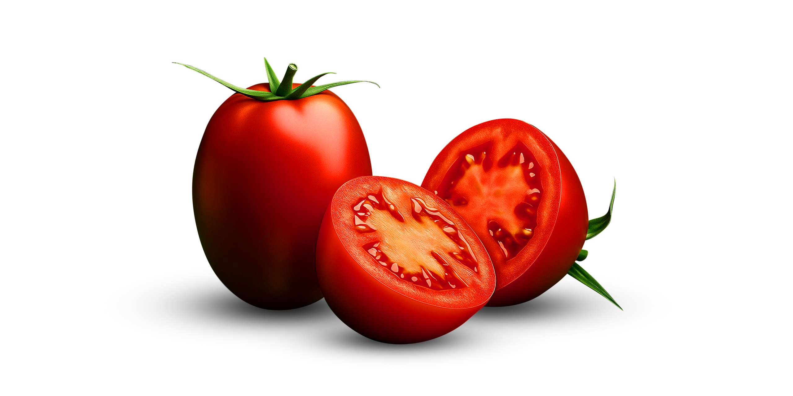 Barricada tomate Ramiro Arnedo