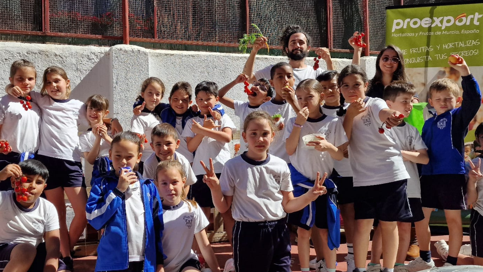 Frutas y verduras colegios Madrid
