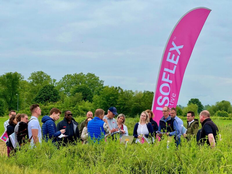 Isoflex Materia activa