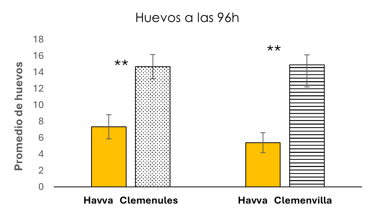 Havva Araña Roja