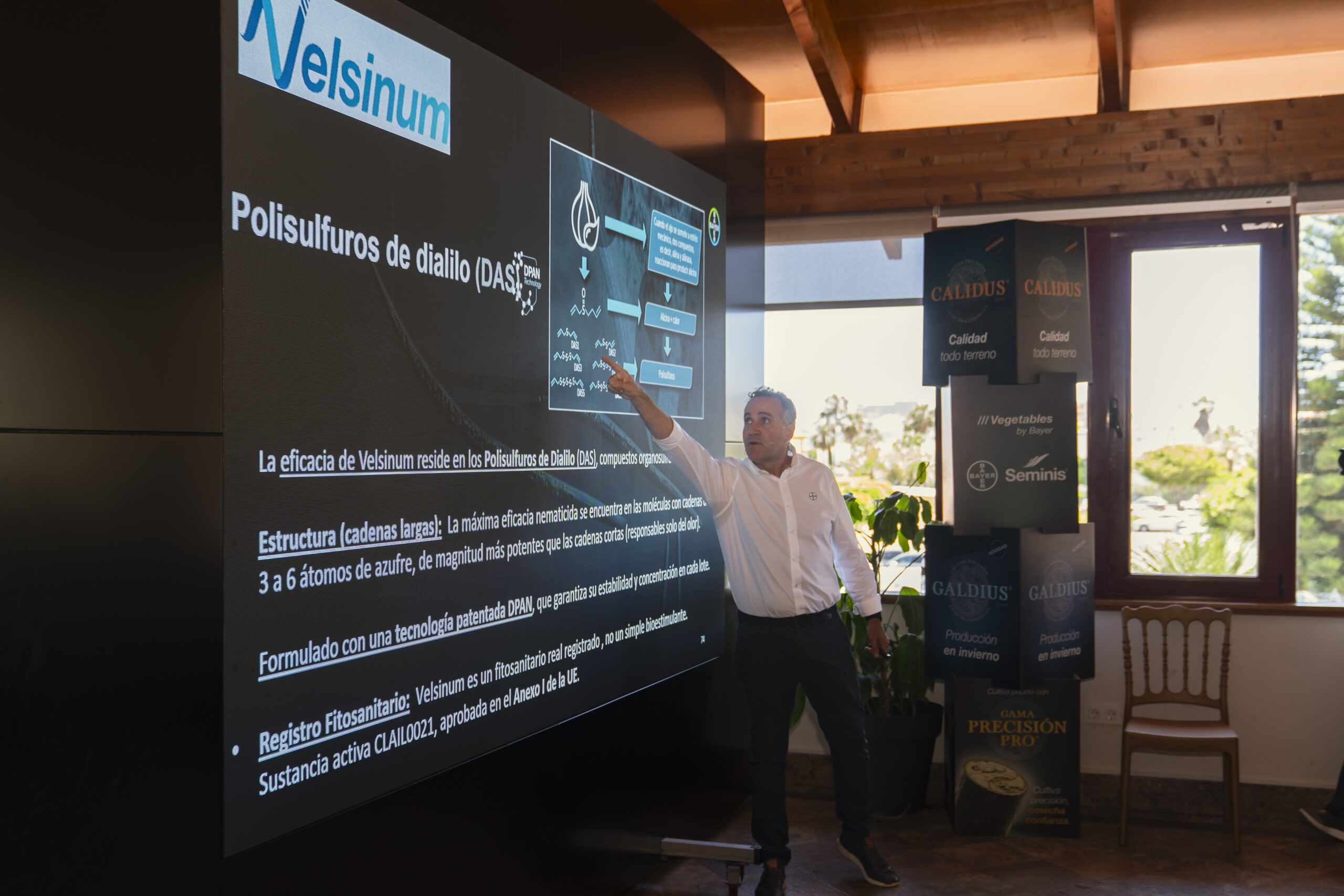 Velsinum Gama Precisión PRO
