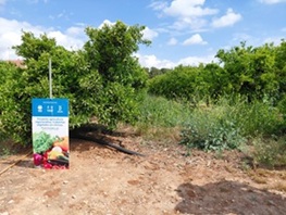 Agricultura de precisión