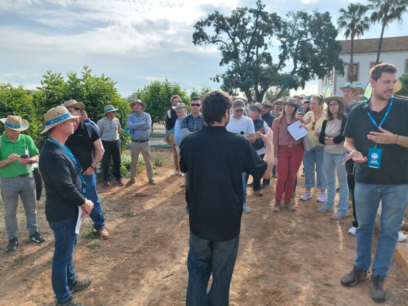 Agricultura de precisión