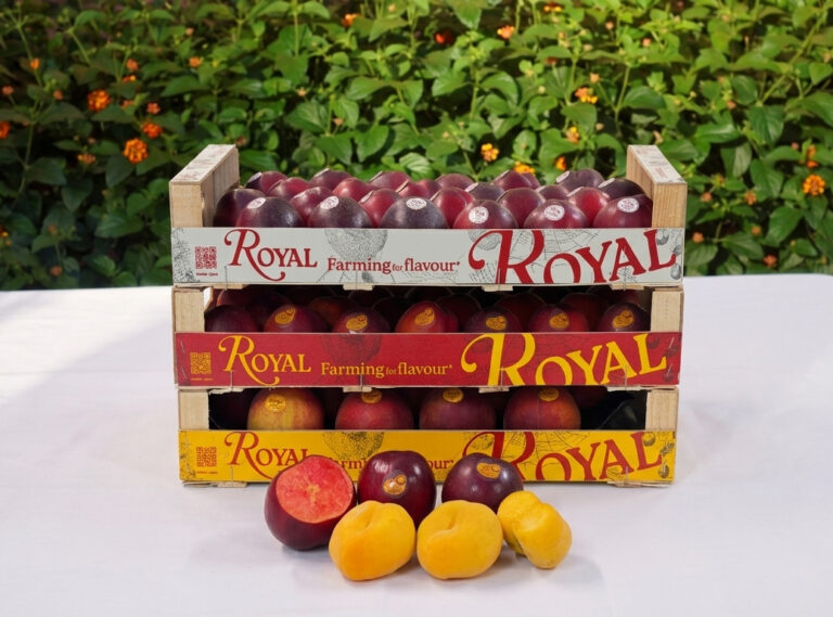 Royal fruta de hueso