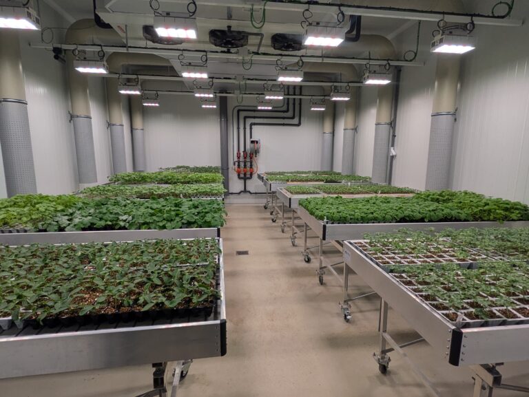 Nuevo centro I+D Syngenta El Ejido
