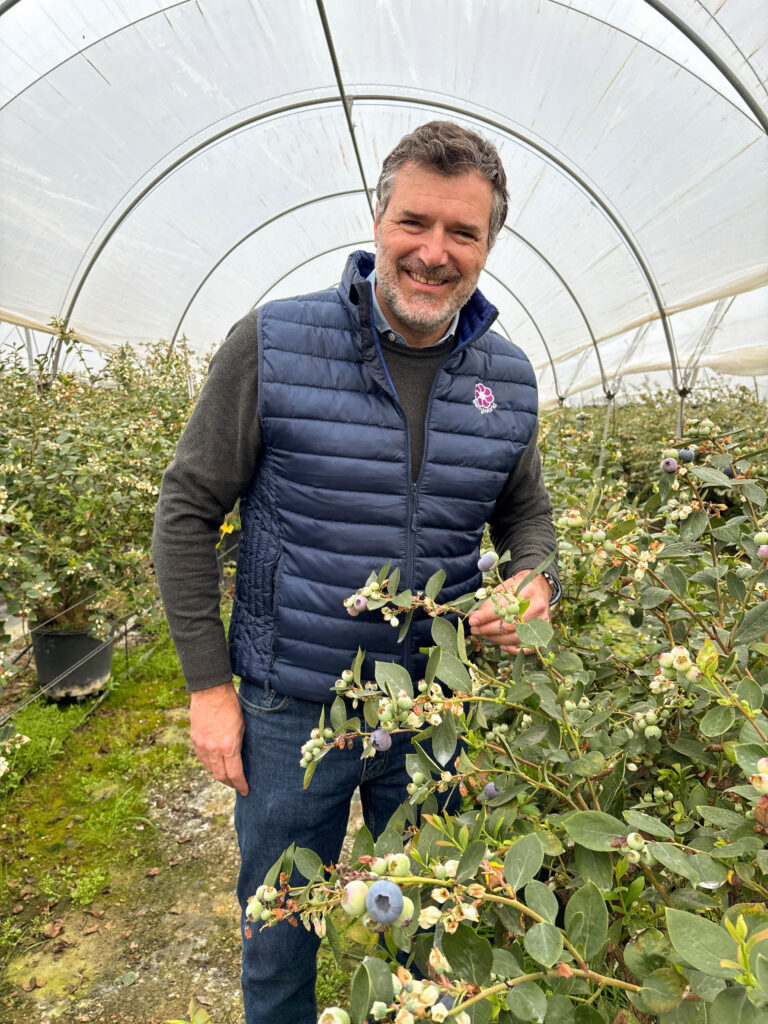 Iván Leache Berryworld Iberia