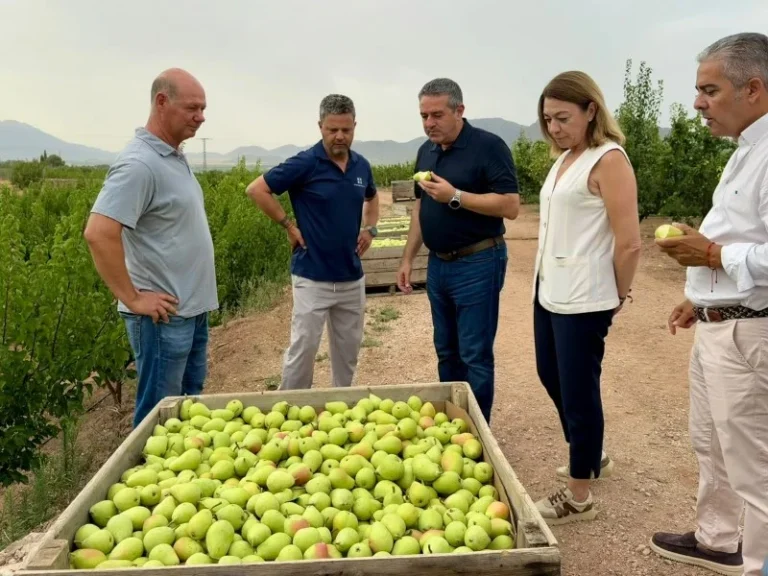 Pera Jumilla