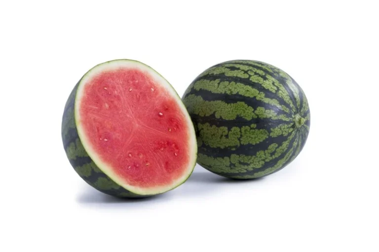 Melón y sandía Rijk Zwaan