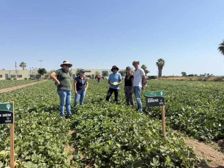 BASF | Nunhems melón y sandía