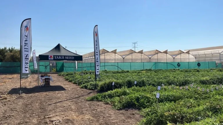 Jornadas melón Takii