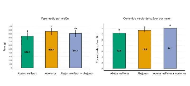 Polinización melón Biobest