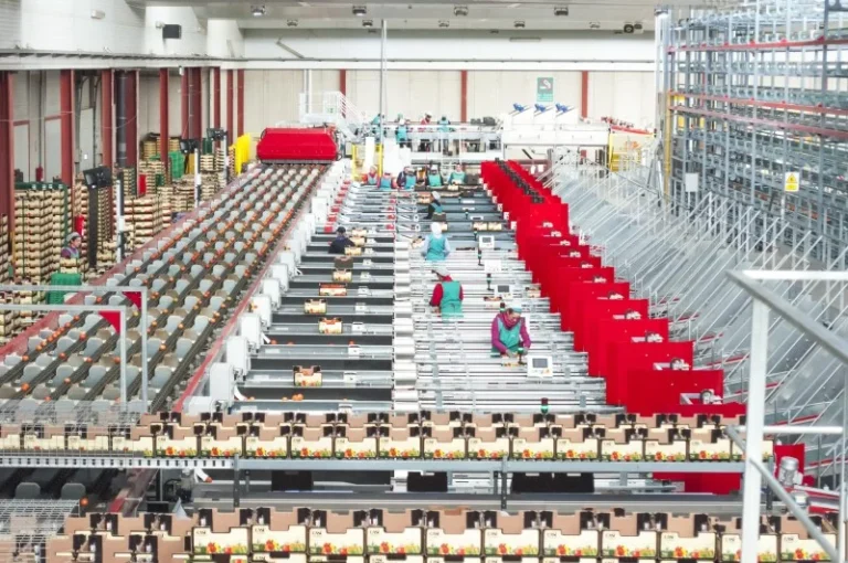 Sede cooperativa hortofrutícola CASI en Almería
