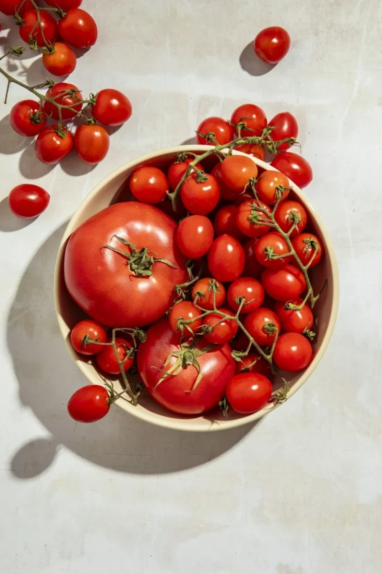 Freshquita Tomate UNICA
