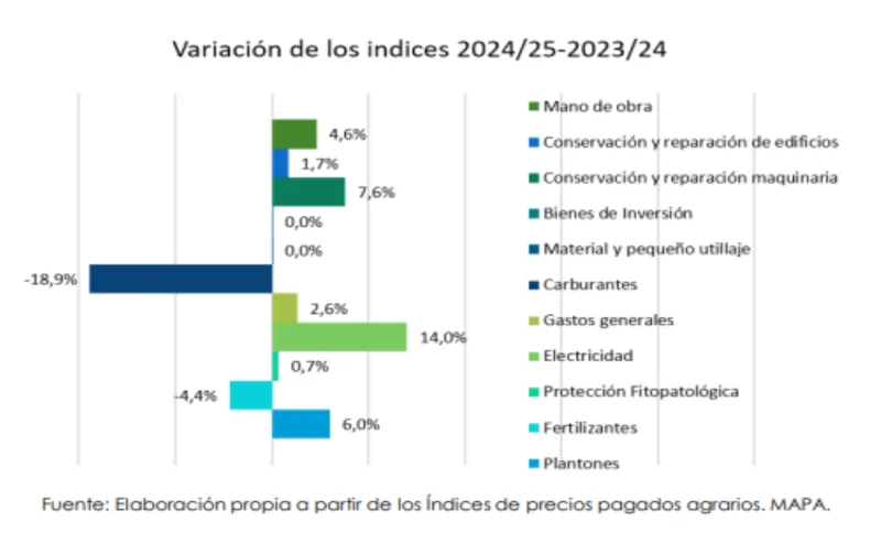 Costes producciรณn frambuesa