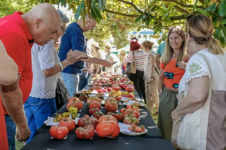 Tomate Negro del Escorial