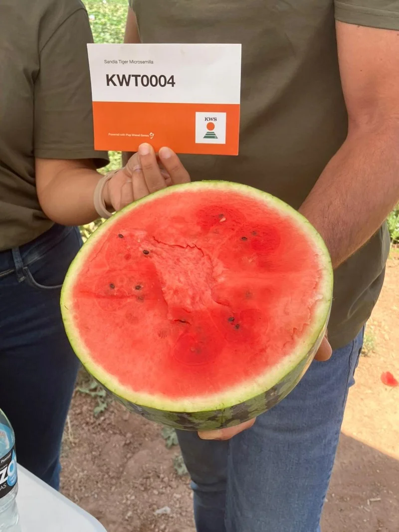 KWT004 KWS