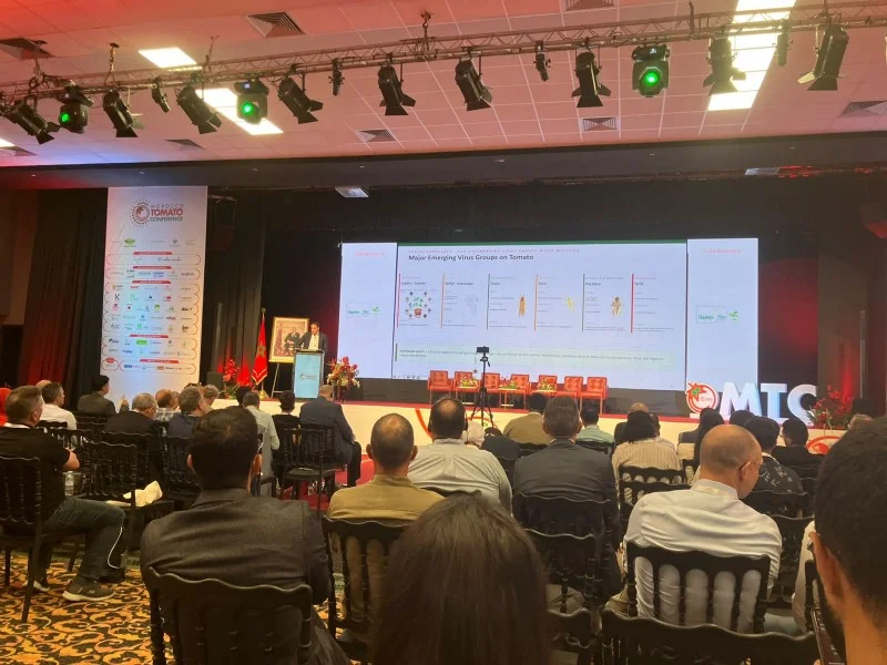 Morocco Tomato Congress 2026