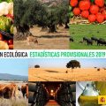 090720-ecologica