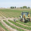 un joven muere de un golpe de calor trabajando en un finca de tomates en las cercanias de gevora y badajoz, 2015.