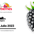 CongresoInternacionalANEBERRIES