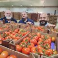 Tomates de Vegacañada