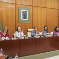 Comisión parlamentaria Andalucía