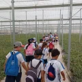 Visita a Campojoyma del alumnado de La Milagrosa