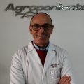 Grupo Agroponiente covid