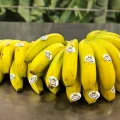 La Fast Plátano de Canarias