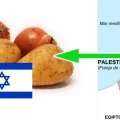 Israel productos palestinos