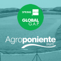 Agroponiente