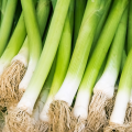 ALDI Calçots