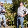 Ángel Ruiz Serna, gerente de Ecoculture, y Néstor Coltell, Country Manager, en cultivo de aguacate